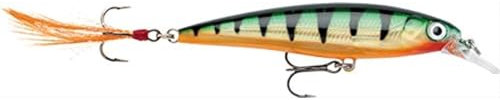 Rapala - X-Rap Angelköder - Angelzubehör mit 3D-Profil - Süßwasser Spinnköder - Schwanzfedern für zusätzliche Reize - Lauftiefe 0.9-1.5m - Fischköder 6cm, 4g - Hergestellt in Estland - Legendary Perch