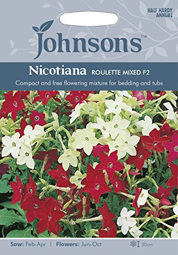 Johnsons 22259 Flower Seeds, Nicotiana Roulette Mixed F2
