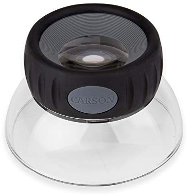 Carson LumiLoupe Plus 5,5x Standlupe mit verstellbarem Fokus und Acrylsockel (LO-06), Farblos