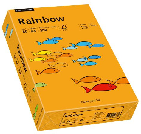 Papyrus 88042431 Druckerpapier Rainbow 80 g/m², A4 500 Blatt orange
