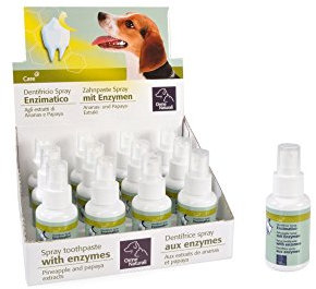 Camon - Enzymatisches Zahnpasta Spray - G866 1 Spray 50,00 ml