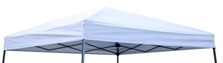 Trademark Innovations Simply Sports Pavillon für Pavillon, quadratisch, für 3 m schräges Bein, 20,3 x 20,3 cm, Kaffeebraun 8' x 8' Silberweiß