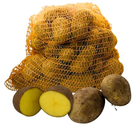 FRUCHTVERSAND24® Speisekartoffeln Afra 12,5kg | feiner mehliger Geschmack | gelbfleischig | für Back- Ofenkartoffeln, Klöße & Knödel, Pommes, Püree, Salzkartoffeln, Suppe | sehr lagerfähig