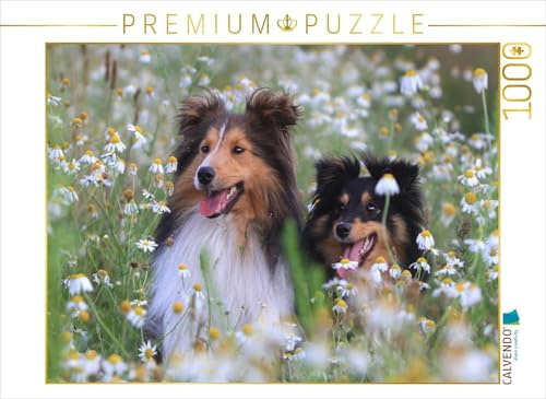 CALVENDO Puzzle EIN Motiv aus dem Kalender Wir lieben Shelties | 1000 Teile Lege-Größe 64 x 48 cm Foto-Puzzle für glückliche Stunden