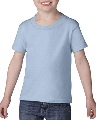 Gildan. Light Blue. XL. 5000B. 00821780032230