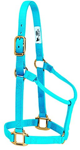 Weaver Leather Original Pferdehalfter, Nylon, Nicht verstellbar, groß, Blau (Hurricane Blue)