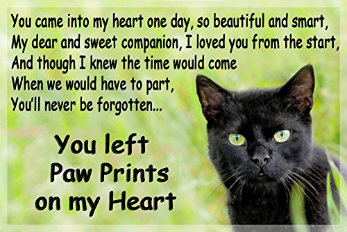 Black Cat Fridge Magnet Bereavement Sympathy cat Memorial