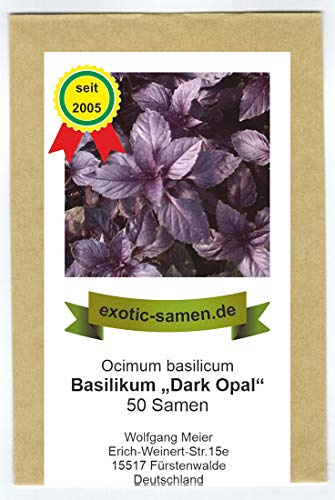Ocimum basilicum - Basilikum Dark Opal - 50 Samen