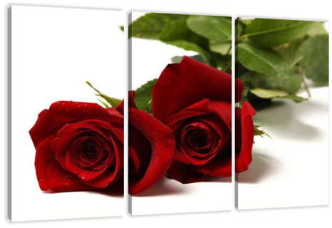 Visario Leinwandbild Rosen 160x90 cm 1095 XXL Wandbild Blumen Modern Kunstdruck auf Leinwand fertig aufgespannt Holzrahmen Wanddekoration Wohnzimmer Schlafzimmer Flur Blütenmotiv Blumenbild Dekoration