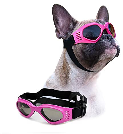 Pet Leso Doggles Goggles Stylish Doggie Puppy Sunglasses Windproof - Pink by Pet Leso