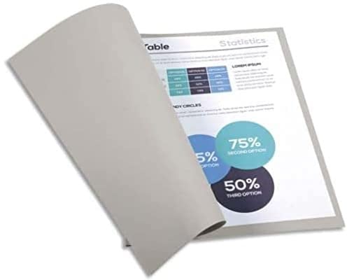 Exacompta 410009E Packung (mit 100 Aktendeckeln Forever, aus Recycling Karton 220 g, DIN A4, 24 x 32 cm) Grau