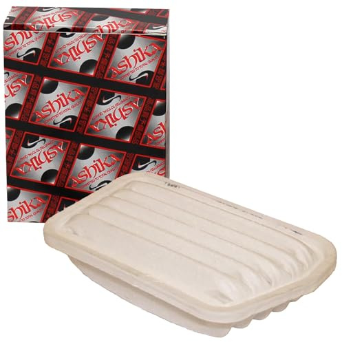 Ashika 20-06-600 Luftfilter | 20-06-600 Kompatibel mit Cuore Vii (L275_, L285_, L276_)