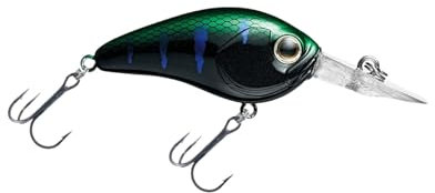 Daiwa Wobbler Steez Crank 100F-SR 54mm Monster Gill, Länge 4,5cm, Gewicht 10,1g