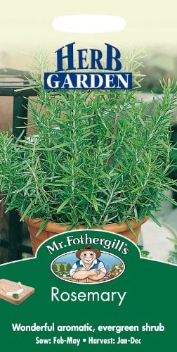 Mr Fothergill's 12681 Herb Seeds, Rosemary, Blue