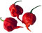 10 Samen CAROLINA REAPER (AKA HP22B) ***Neue Züchtung, Schärfer als Moruga*** Aktueller Weltrekord