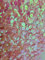 1400 Pailletten - Ø 6mm - Riesige Auswahl an Farben (Rosa)