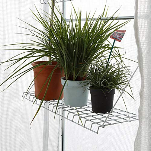 BioGreen Gewächshaus-Regal für Foliengewächshaus Patioflora 100 | 12 kg Tragkraft | Robustes Material | einfache Anbringung | 80 x 30 cm