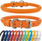 CollarDirect Hundehalsband aus gerolltem Leder, weich gepolstert, rund, für Welpen, handgefertigt, echtes Leder, kleine und große Katzenhalsbänder (L, Orange)