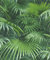 Rasch Rasch 524901 Papier peint non tissé Collection Crispy Paper, vert