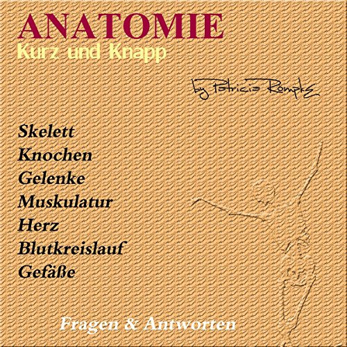 Anatomie kurz und knapp: Fragen und Antworten