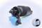 DAKAtec 40036W Waschwasserpumpe