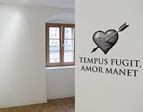 Apalis Wandtattoo Sprüche - Wandworte No.BR202 Tempus fugit, Farbe: Königsblau, Größe HxB: 100cm x 122cm