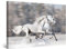 Startonight Bilder Zwei Weiße Pferde, Leinwandbilder Moderne Kunst, Tiere Wanddeko Kunstdrucke, Wandbilder Schlafzimmer 60 x 90 cm, Tag Nacht Effekt, Elegante Geschenkidee Wand Deko