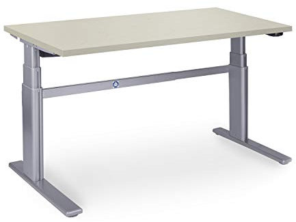 Dila GmbH Ergonomischer Schreibtisch elektrisch höhenverstellbar | höhenverstellbarer Bürotisch Workstation Arbeitstisch Bürotisch Büromöbel (160 x 80 cm, Ahorn)