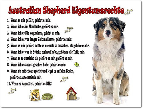 Blechschild / Warnschild / Türschild - Aluminium - 15x20cm Eigentumsrechte Motiv: Australian Shepherd (01)