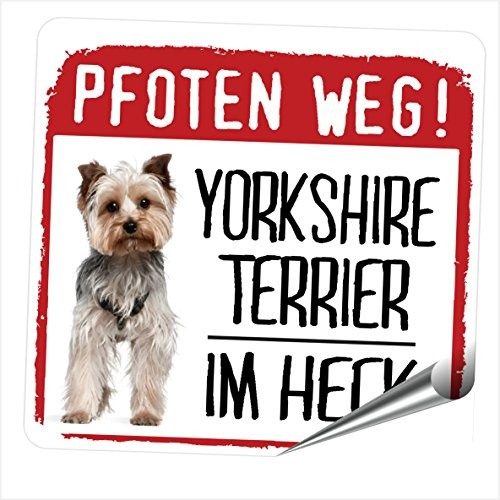 Siviwonder Autoaufkleber Yorkshire Terrier im Heck Reflexfolie Hinweis Hund im Auto 9x8 cm Sticker für Heckscheibe Heckklappe Stoßstange nachts sichtbar Hundeaufkleber für Pkw SUV Kombi Wohnmobil Vans