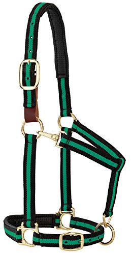 Weaver Leather Gepolstertes Halfter für Kinn und Hals, verstellbar, 2,5 cm durchschnittlicher Zugluft für Pferd oder Jährling, grün gestreift