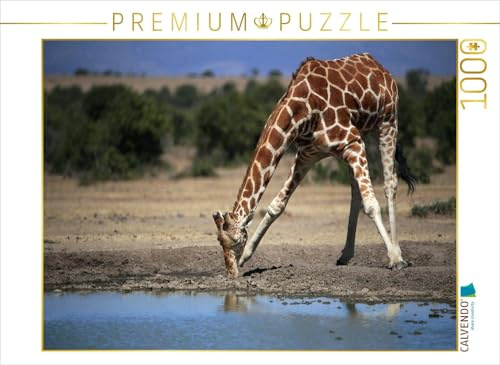 CALVENDO Puzzle Giraffen – Im Flussbett | 1000 Teile Lege-Größe 64 x 48 cm Foto-Puzzle für glückliche Stunden