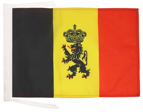 AZ FLAG Drapeau Belgique avec Lion 45x30cm - PAVILLON Belge Armoiries - Gouvernement 30 x 45 cm Haute qualité