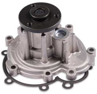 Hepu P594 Wasserpumpe