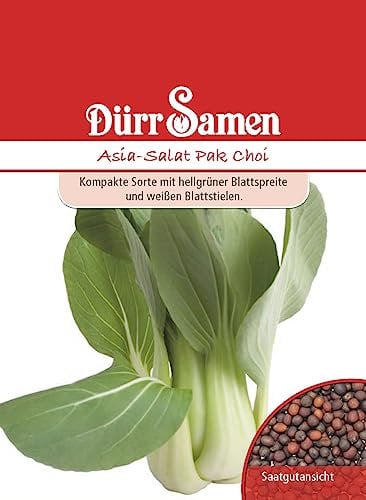 Pak Choi Asia Salat Samen Senfkohl Pakchoisamen ca 100 korn Saatgut Gemüse Hochbeet Garten Dürr Samen