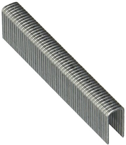 Bosch Professional 3000x Schmalrückenklammer Typ 55 Geharzt (Paneelen, Holzleiste, 6 x 1,08 x 23 mm, Zubehör Tacker)