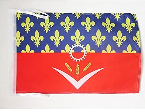 AZ FLAG French Department of Seine-Saint-Denis Flag 45x30 cm Cords | Indoor and outdoor use Department of France 12x18 in decorative flag double stitched seams and reinforced edges with ties