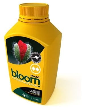 bloom