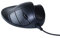 HandshoeMouse Original Wired Small - Optische Maus - Ergonomisch Design - Rechtshändiger - Mit USB Kabel