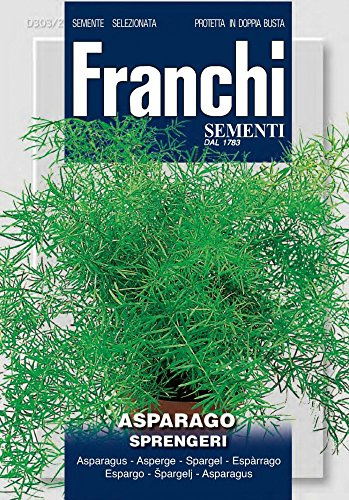 SEMENTI DA FIORE DI QUALITA' AD USO HOBBYSTICO IN BUSTA TERMOSALDATA (ASPARAGO SPRENGERI)