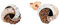 Amor Ohrstecker 925 Sterling Silber Damen Ohrschmuck, mit Kristall, 1 cm, Blau, Kommt in Schmuck Geschenk Box, 9202409