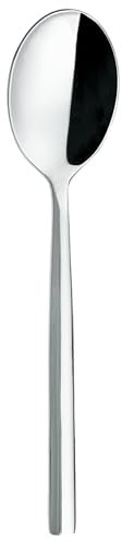 Grunwerg Chopstick Cucharas de postre, acero inoxidable 18/0, juego de 12 unidades