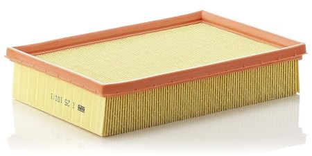 MANN-FILTER C 25 101/1 Air Filter - for Cars + Transporters | For passenger cars, clean air, long-lasting filtration, perfect fit, OE quality