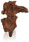 biOrb 46158 biOrb AIR Baumwurzel Ornament bird, braun, Aquarium Dekoration, Zubehör für Terrarien