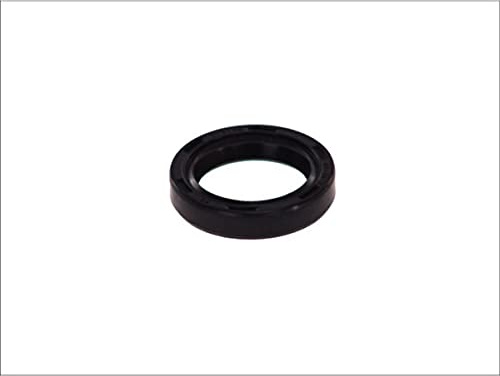 Elring 038.075 - Dichtring