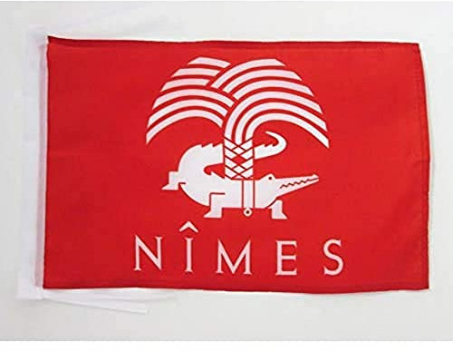 AZ FLAG - Drapeau Nîmes - 45x30 cm - Pavillon Crocodile Nîmois 100% Polyester avec Deux Cordelettes - 20g
