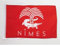 AZ FLAG - Drapeau Nîmes - 45x30 cm - Pavillon Crocodile Nîmois 100% Polyester avec Deux Cordelettes - 20g