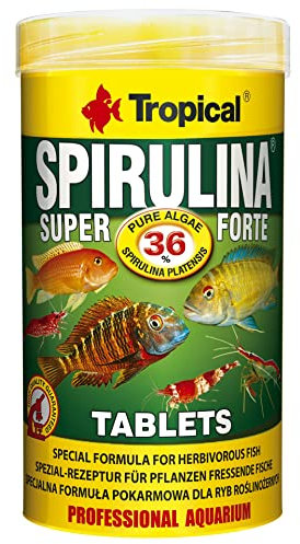 Tropical Super Spiru Tabin A Hafttabletten mit 36% Spirulina (platensis) Algen, 1er Pack (1 x 250 ml)