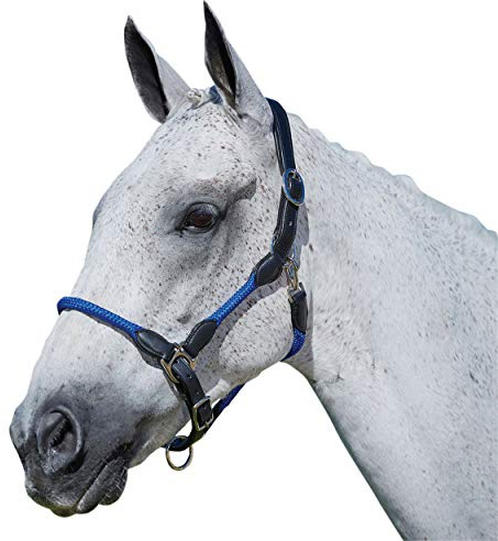 Kincade Leather Rope Halter, Blue, Cob