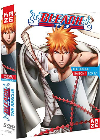 Bleach, saison 1, vol. 3